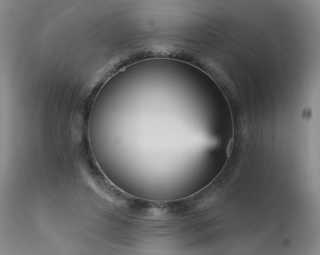 X0000111930496200907271317