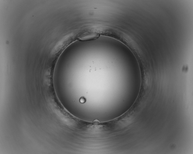 X0000111930497200907271317