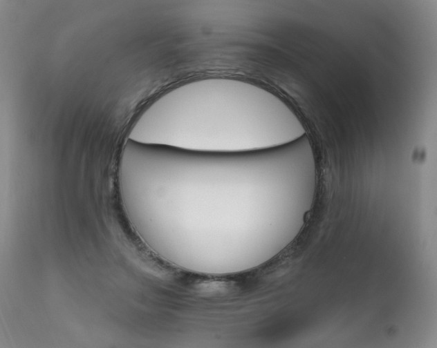 X0000111930499200907271317