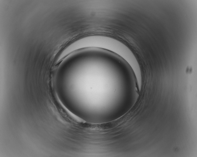 X0000111930500200907271317