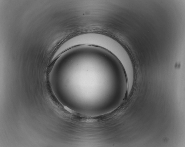 X0000111930501200907271317