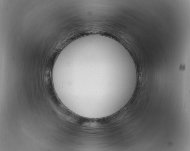 X0000111930503200907271317