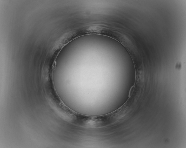 X0000111930504200907271317