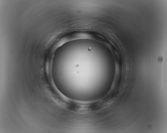 X0000111930505200907271317