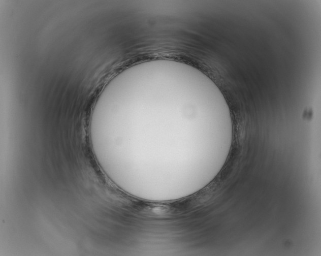 X0000111930506200907271317
