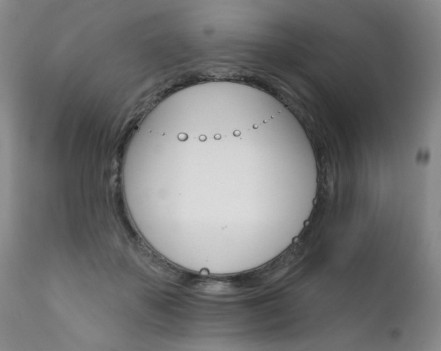 X0000111930507200907271317