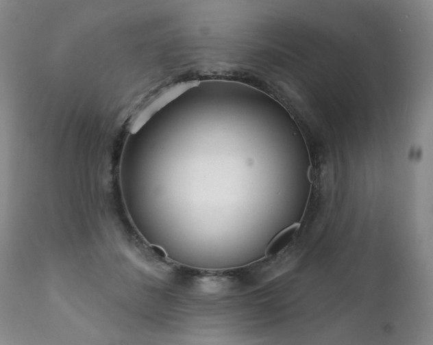 X0000111930508200907271317