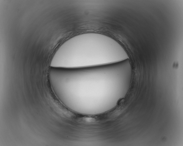 X0000111930509200907271317