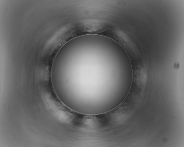 X0000111930510200907271317
