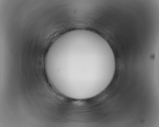 X0000111930511200907271317