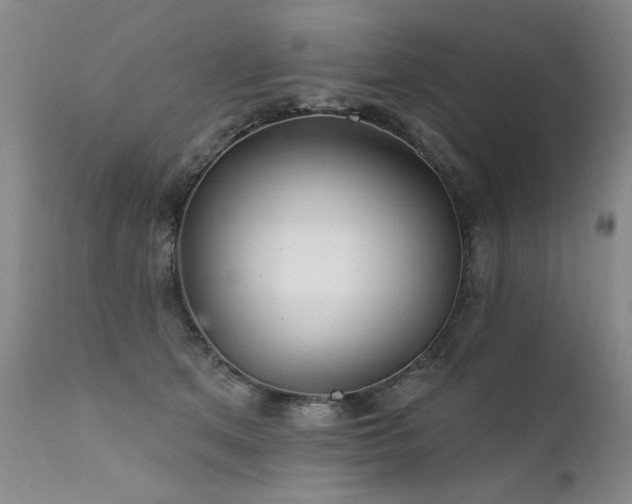 X0000111930513200907271317