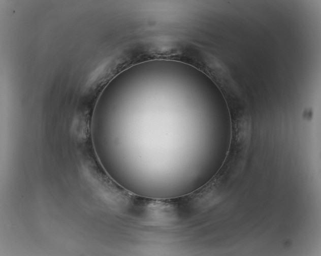 X0000111930515200907271316