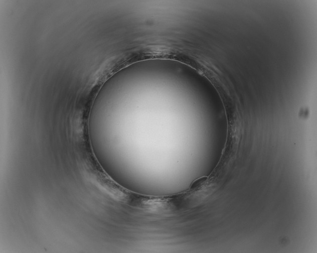 X0000111930516200907271316