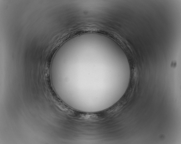 X0000111930517200907271316