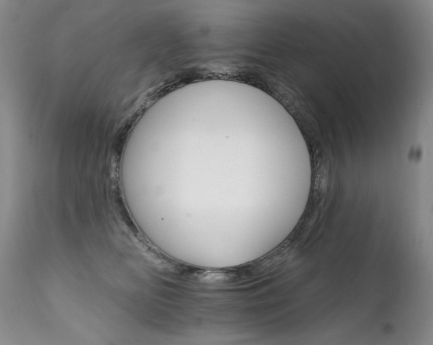 X0000111930518200907271316