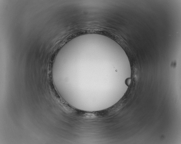 X0000111930519200907271316