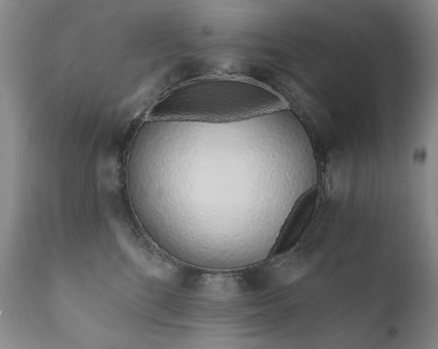 X0000111930520200907271316