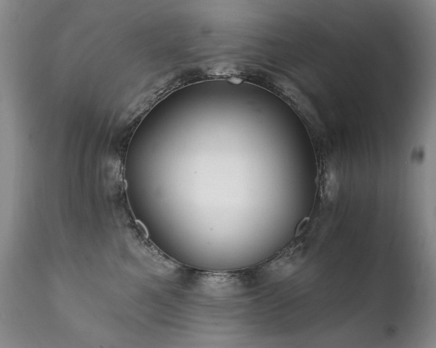 X0000111930521200907271316