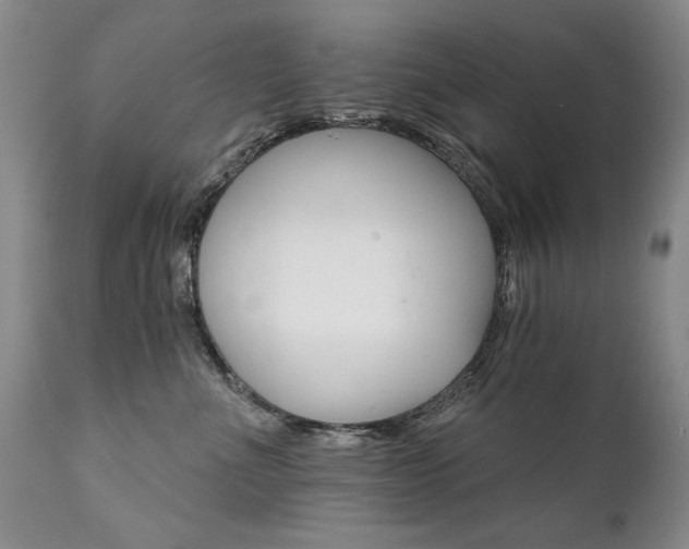 X0000111930523200907271316