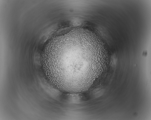 X0000111930524200907271316