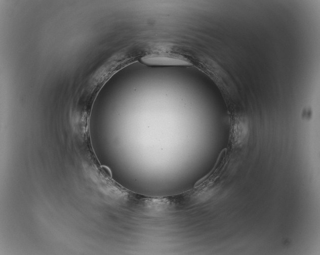 X0000111930525200907271316