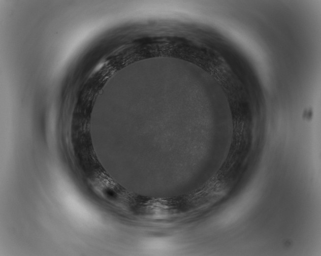 X0000111930526200907271316