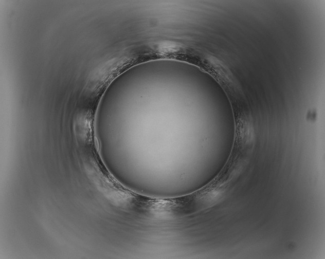 X0000111930527200907271316