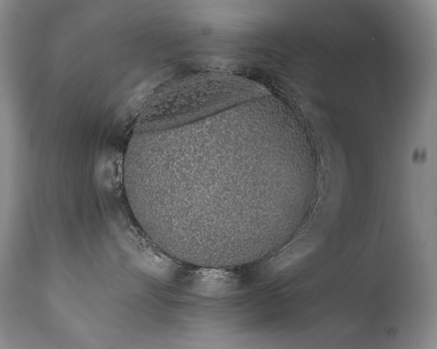 X0000111930528200907271316
