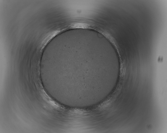 X0000111930529200907271315