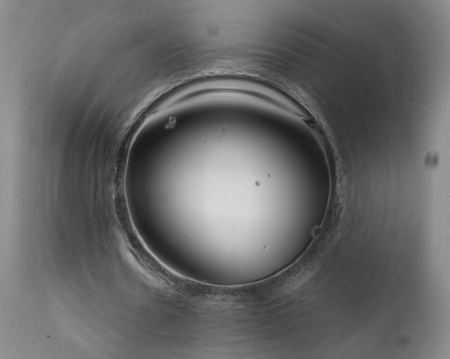 X0000111930530200907271315