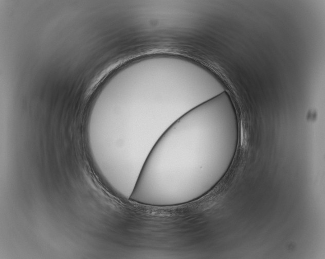 X0000111930531200907271316