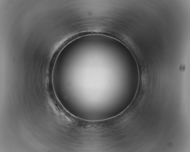 X0000111930532200907271316