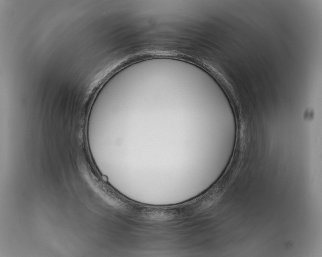 X0000111930533200907271316