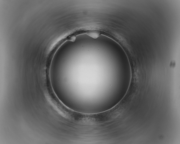 X0000111930535200907271316