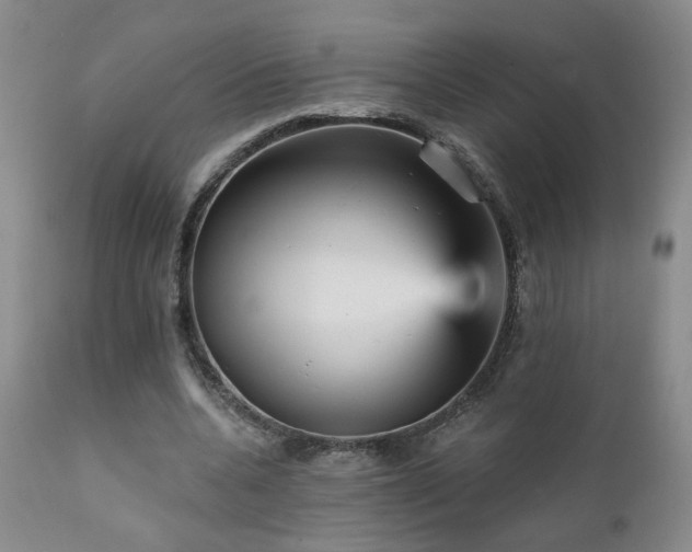 X0000111930536200907271316