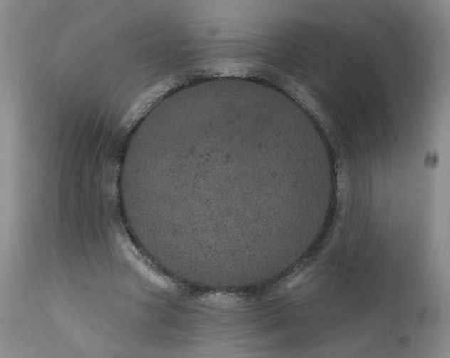X0000111930537200907271316
