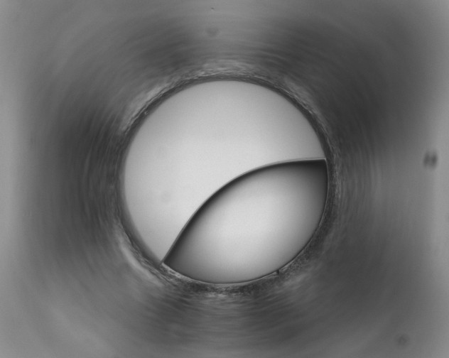 X0000111930538200907271316