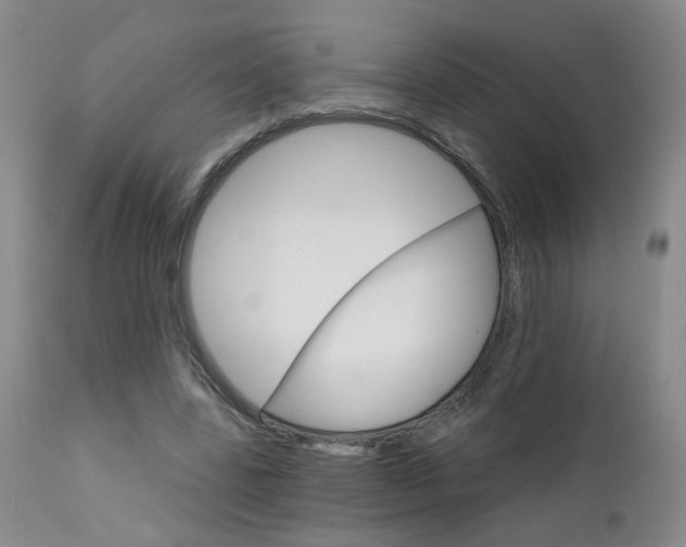 X0000111930539200907271316