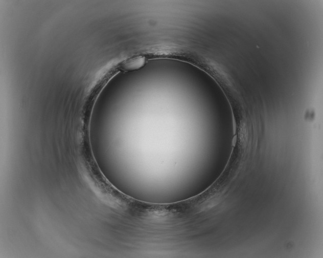 X0000111930540200907271316