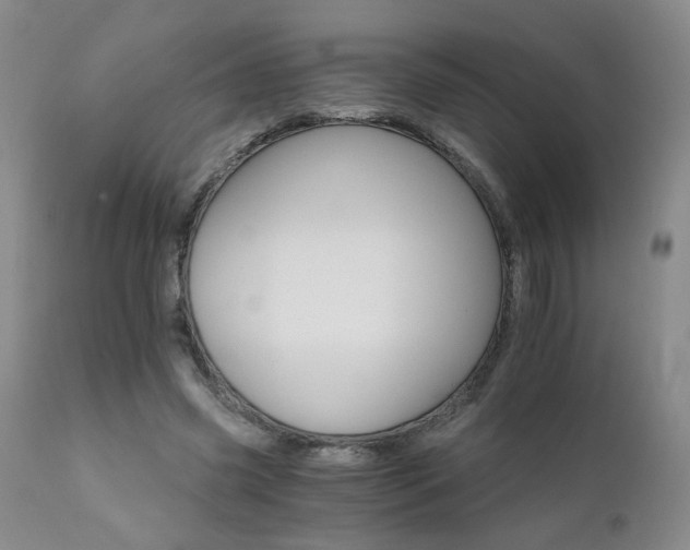 X0000111930541200907271316