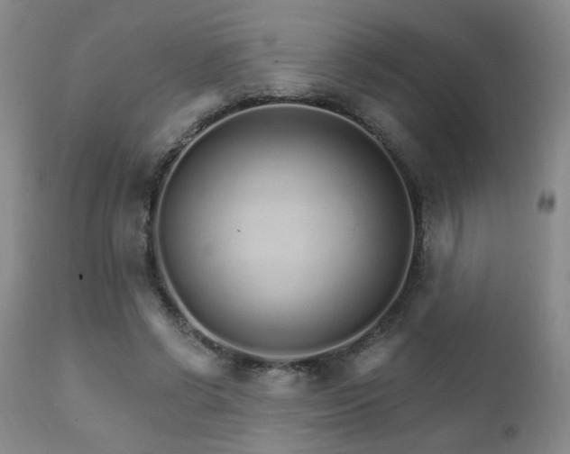 X0000111930542200907271316