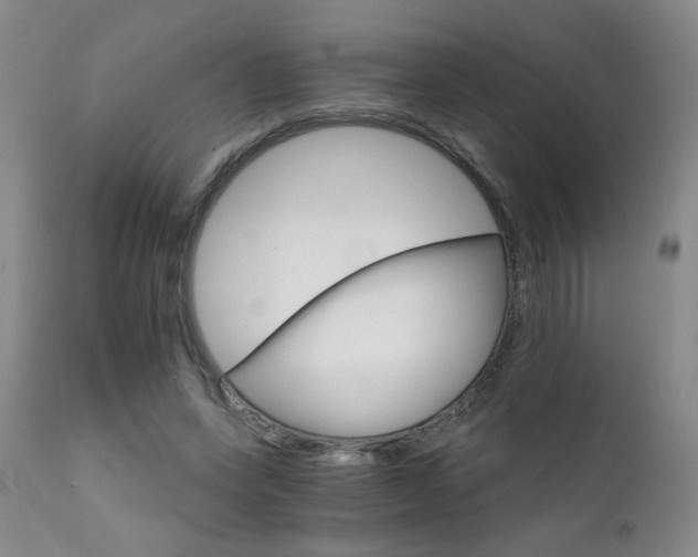 X0000111930543200907271316
