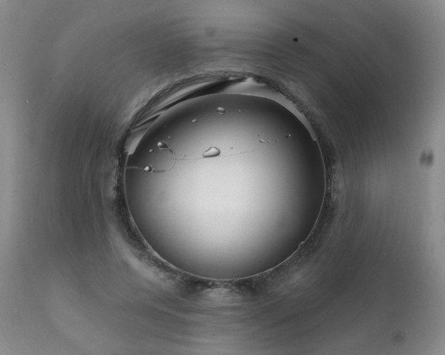 X0000111930544200907271316