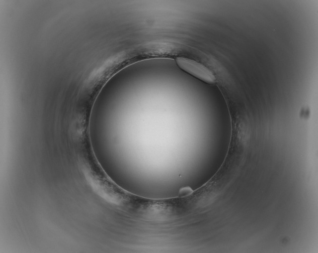 X0000111930546200907271316
