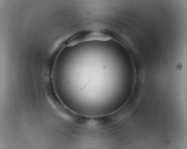 X0000111930547200907271316