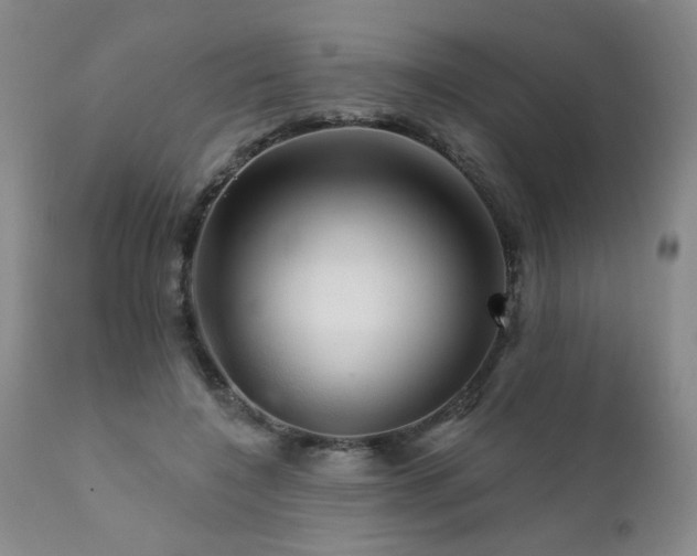X0000111930548200907271316