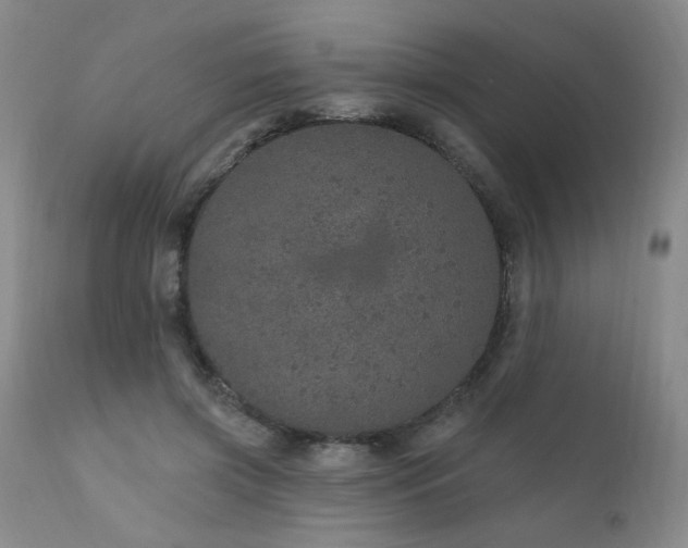 X0000111930549200907271316