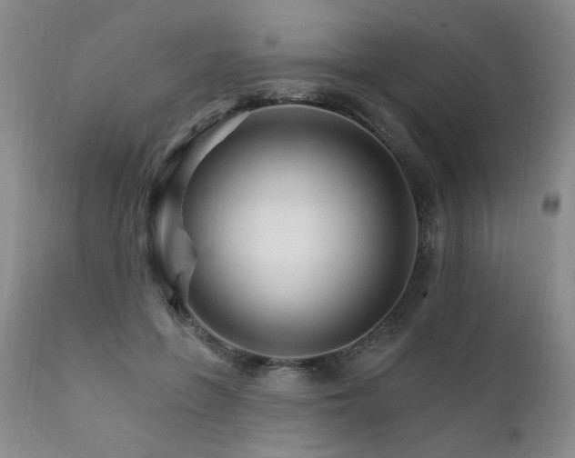 X0000111930551200907271316