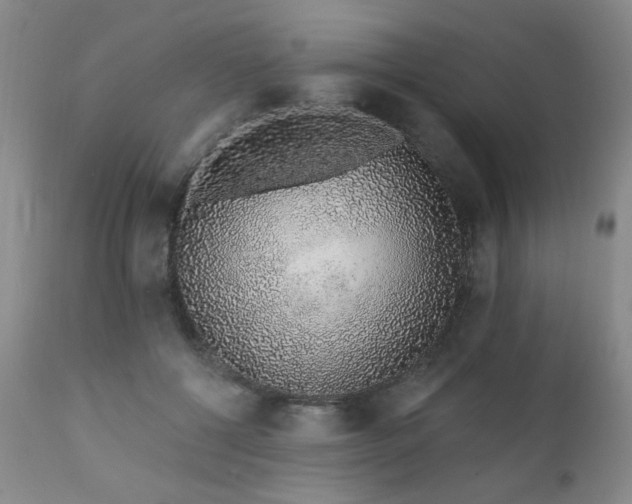 X0000111930552200907271316