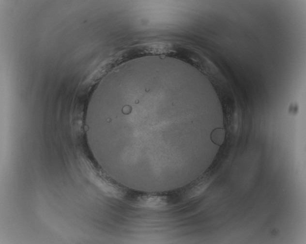 X0000111930553200907271316